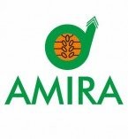 Client_Amira